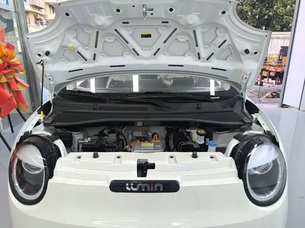 Changan Qiyuan Changan Lumin 2026 2026 Model 205km Treasure Edition