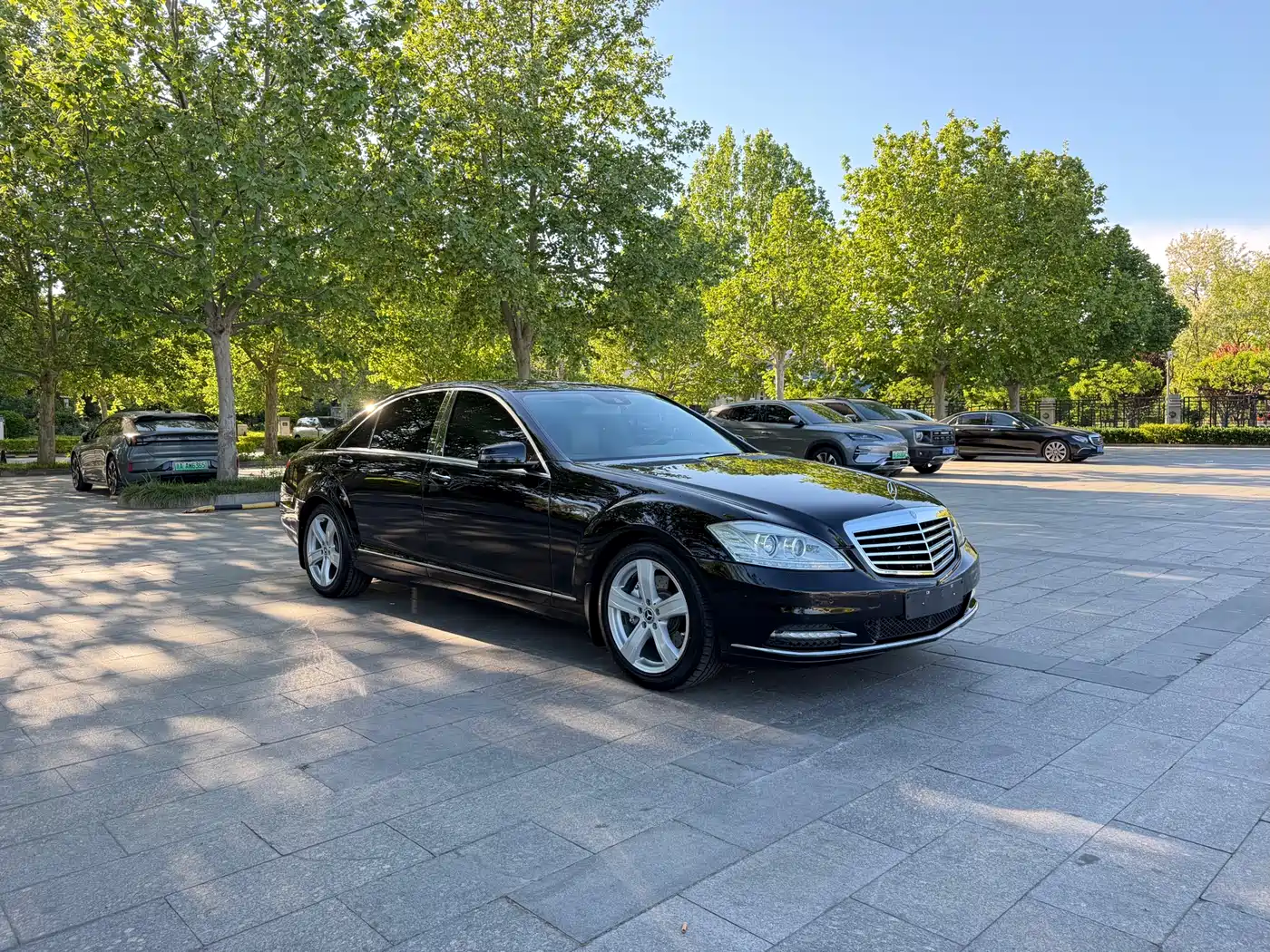 Mercedes-Benz S-Class 2010 S 300 L Premium фото 3