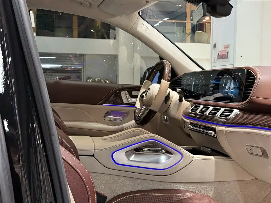 Mercedes-Benz Maybach GLS 2021 GLS 480 4MATIC фото 14