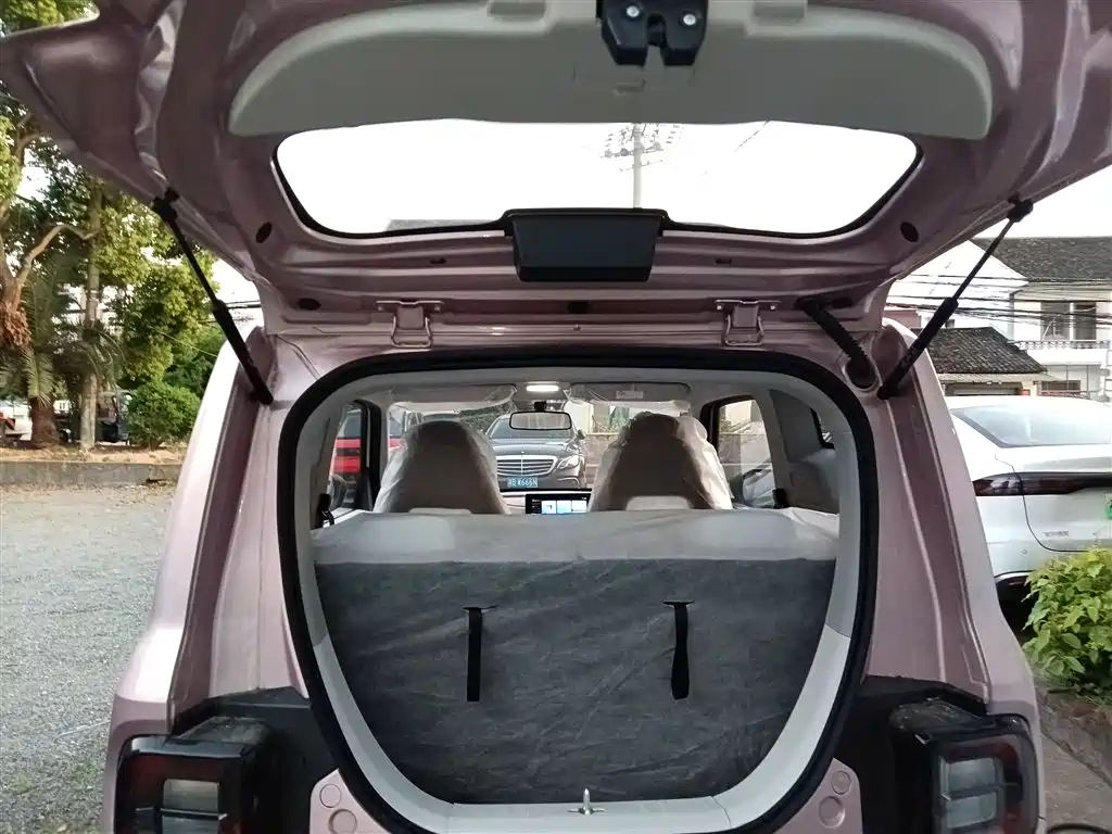 Geely Galaxy Panda 2025 Panda mini 210km Vitality Bear фото 19
