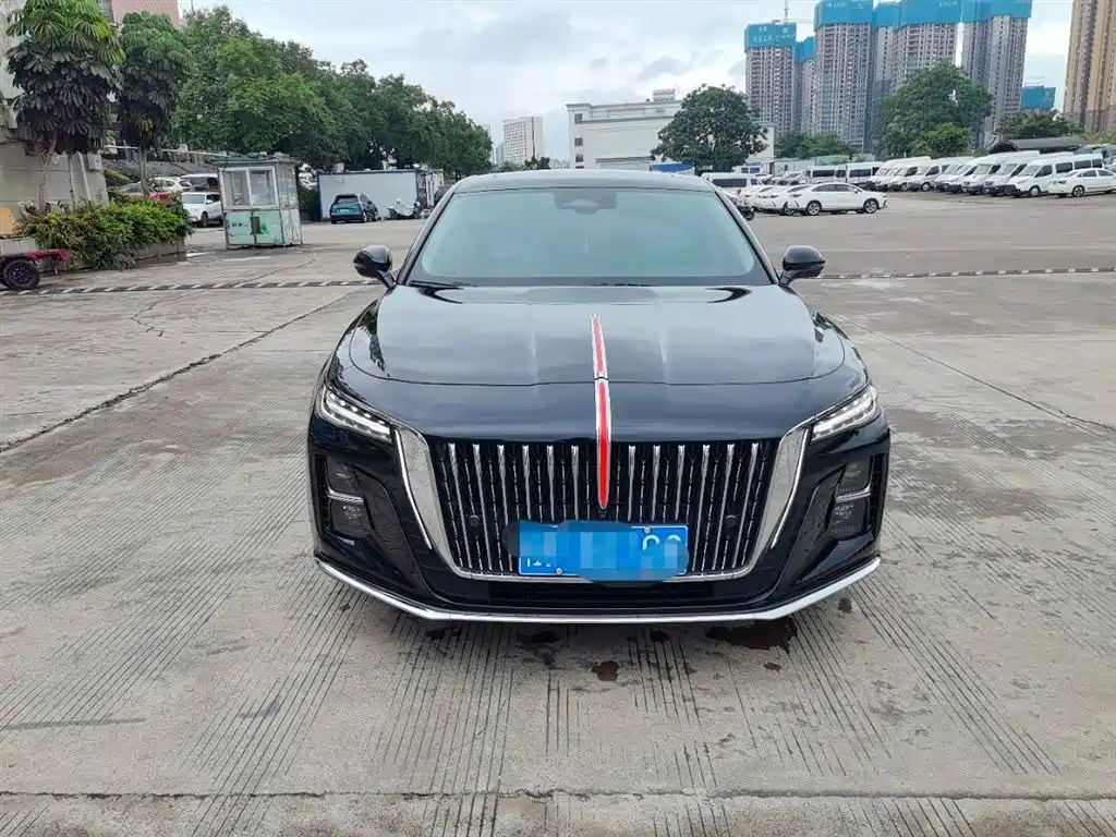 Hongqi H5 2023 2.0T Auto Smart Connect Flag Comfort фото 2