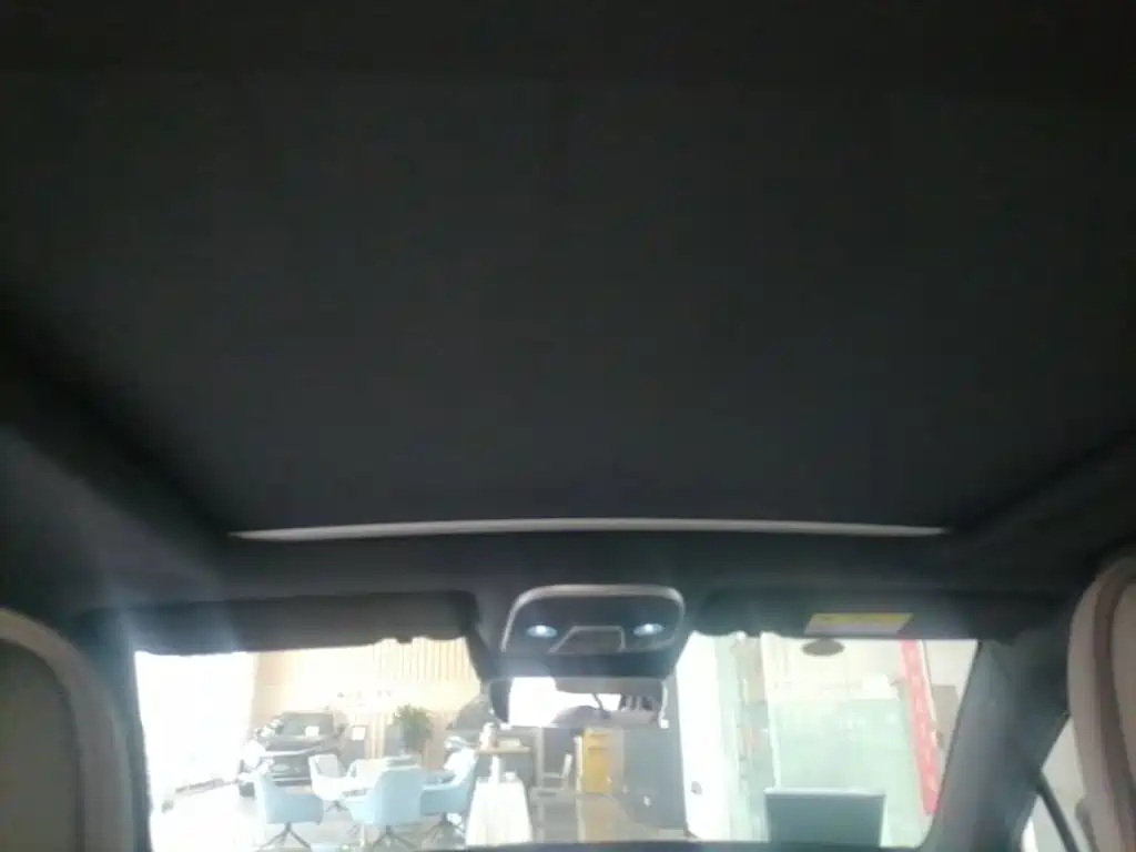 BYD Tang New Energy 2025 2025 Smart Driving Edition DM-i 115KM Flagship