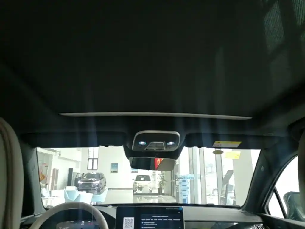 BYD Tang New Energy 2025 2025 Smart Driving Edition DM-i 115KM Flagship