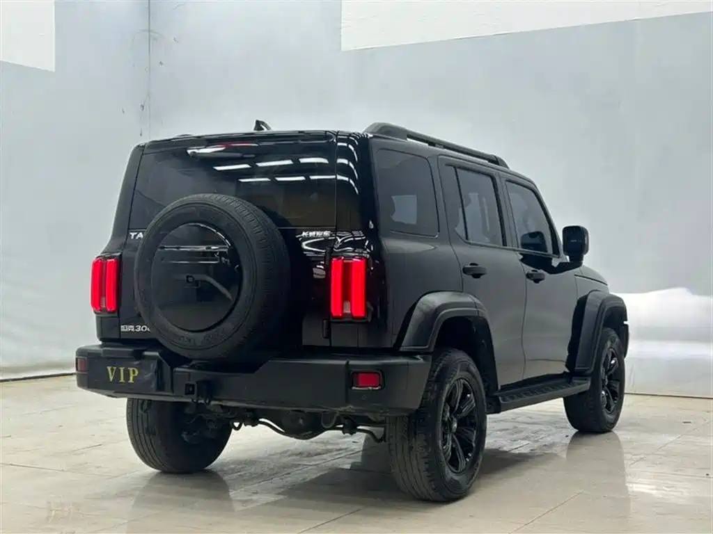 Tank 300 2023 Off-Road Edition 2.0T Conqueror фото 9