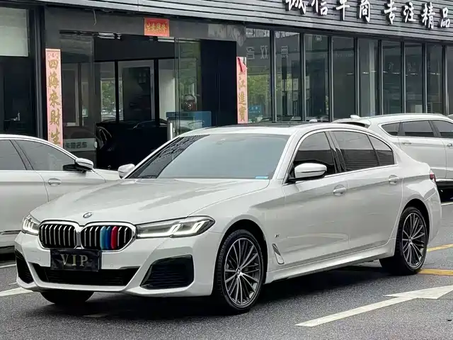 BMW 5 530Li, Лидер, M Спорт-пакет
