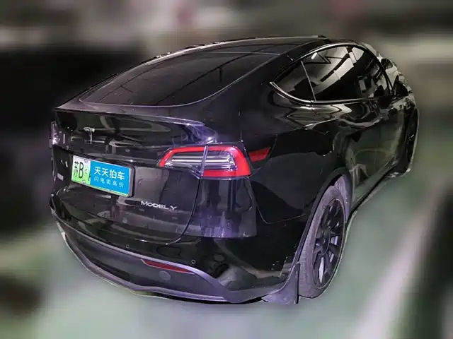 Tesla Model Y 2021 Standard Range Rear-Wheel Drive — фото 2