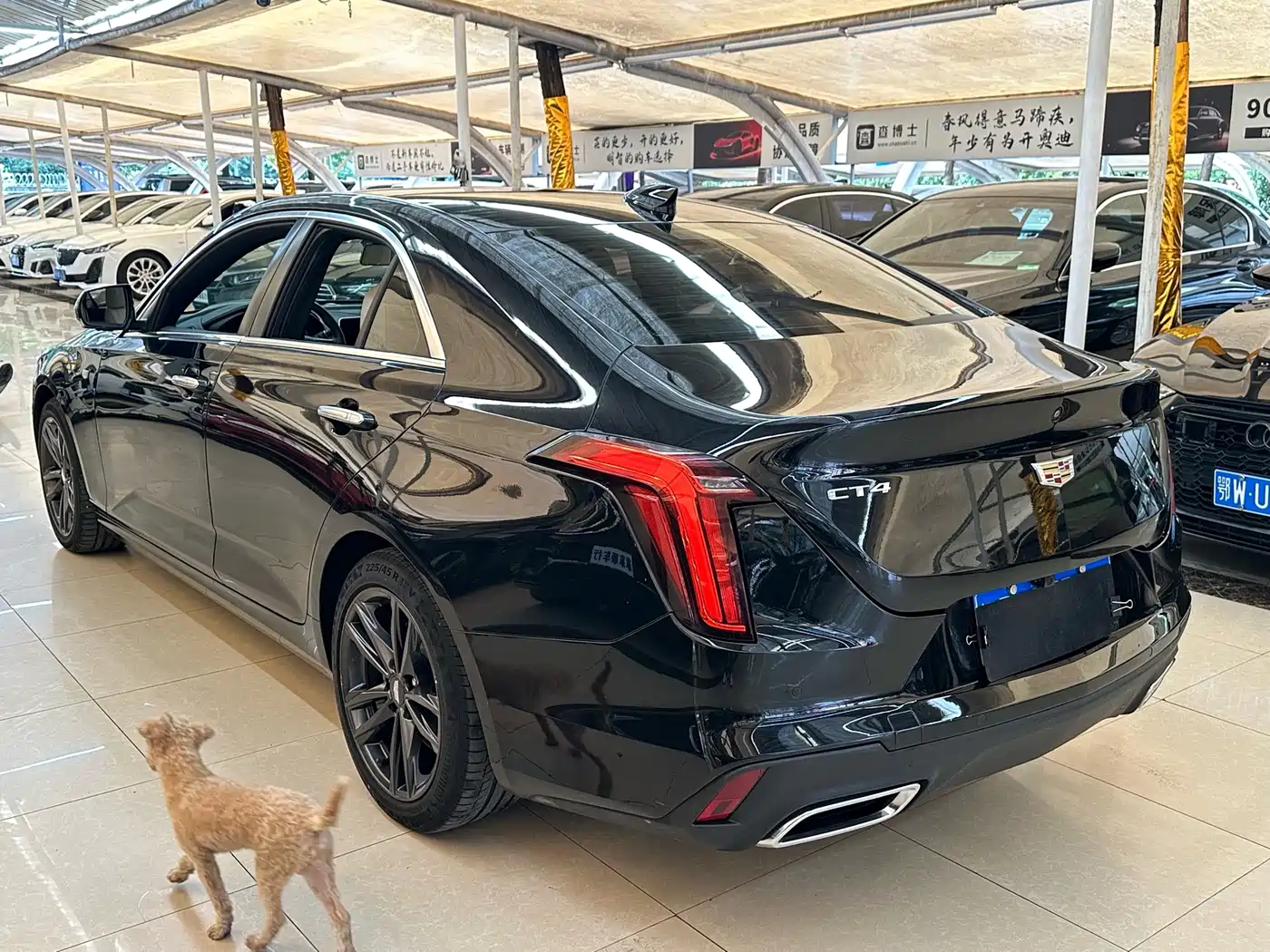 Cadillac CT4 2023 2023 25T Luxury Model
