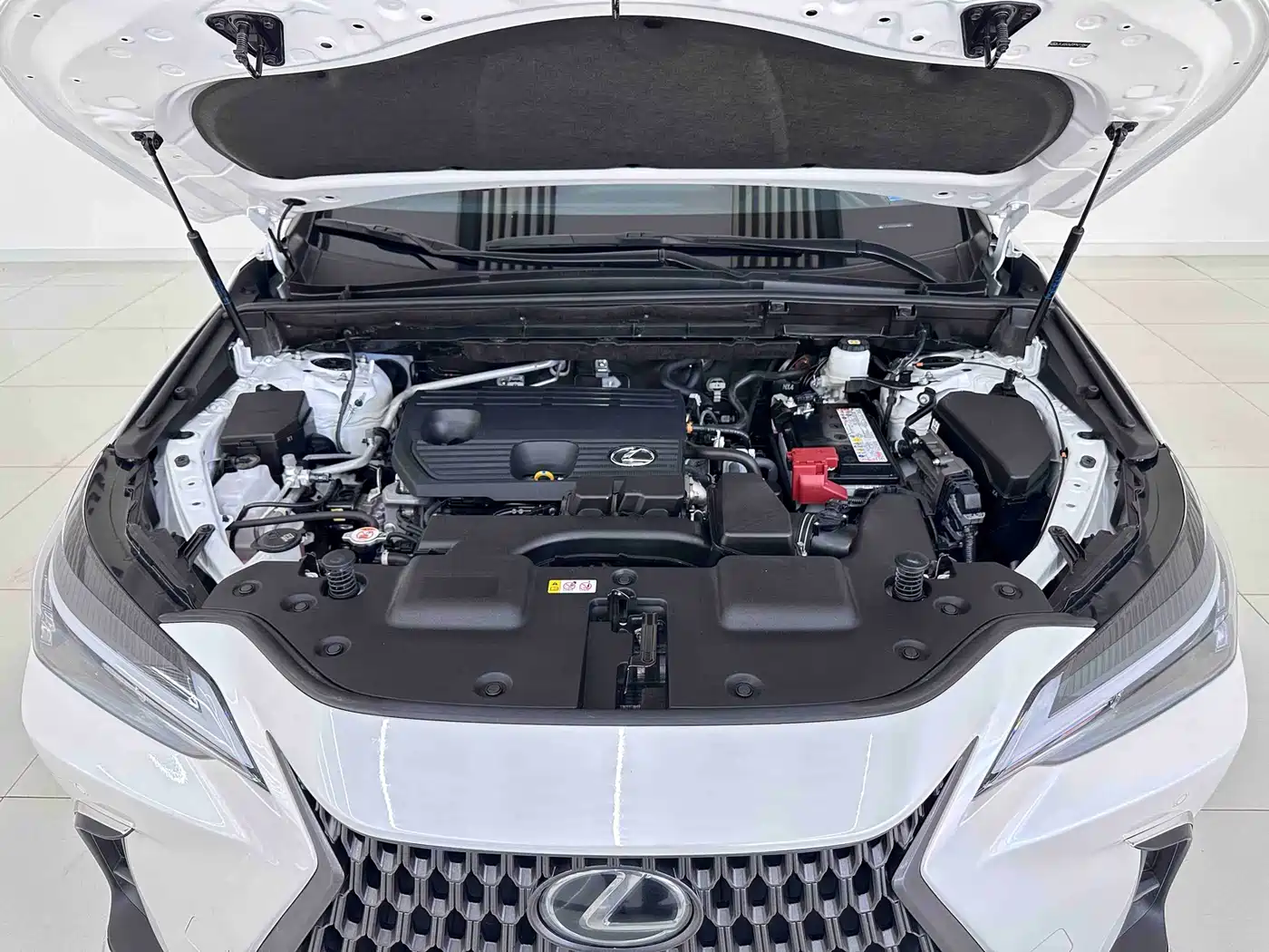 Lexus NX 2024 2023 260 FWD Creative Travel Special Edition