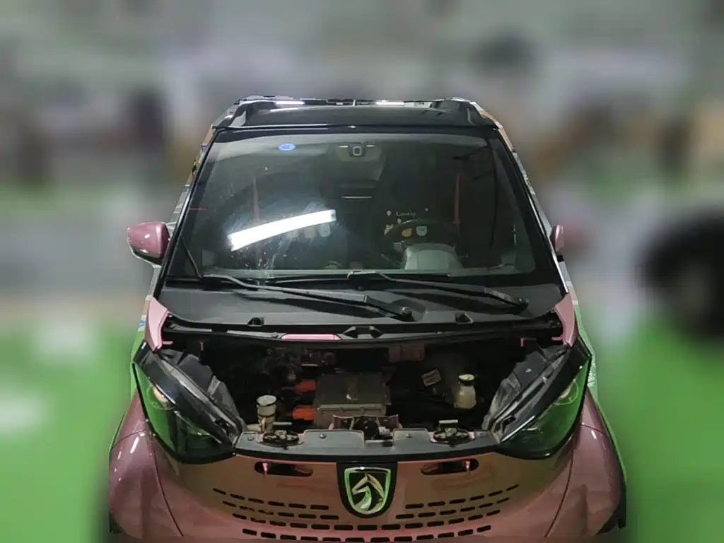 Baojun E100 2020 2020 305KM Intelligent Edition