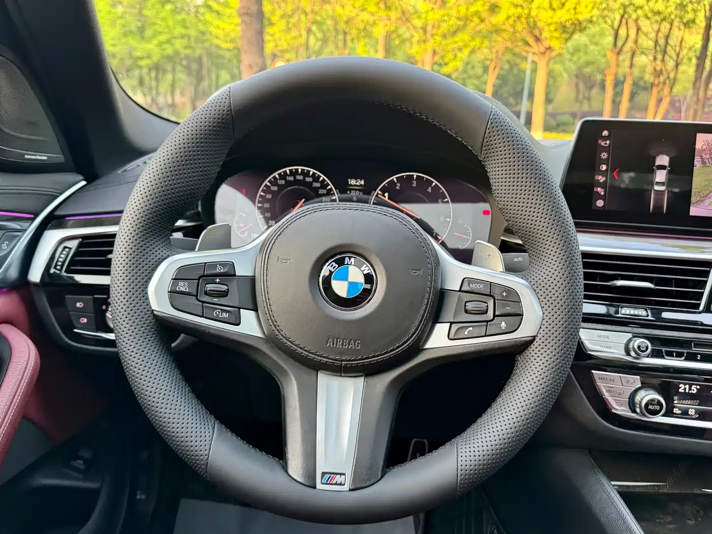 BMW 5 Series 2019 530Li Leading M Sport Package фото 14