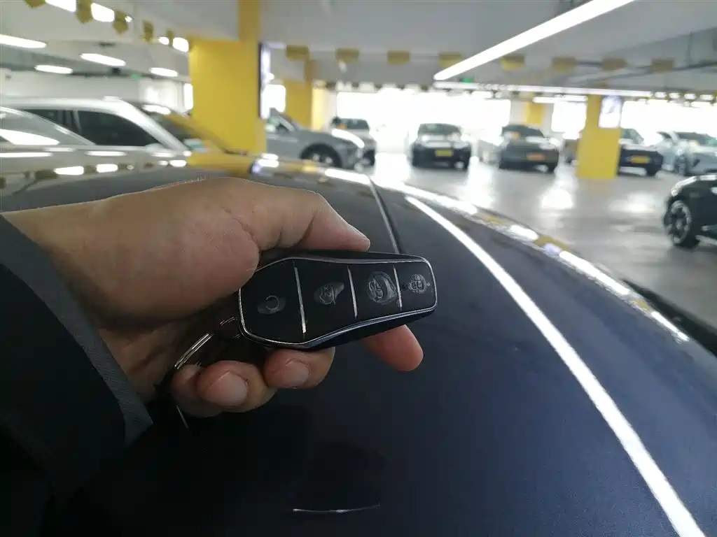 BYD Seal 06 New Energy 2024 DM-i 80KM Prestige фото 17