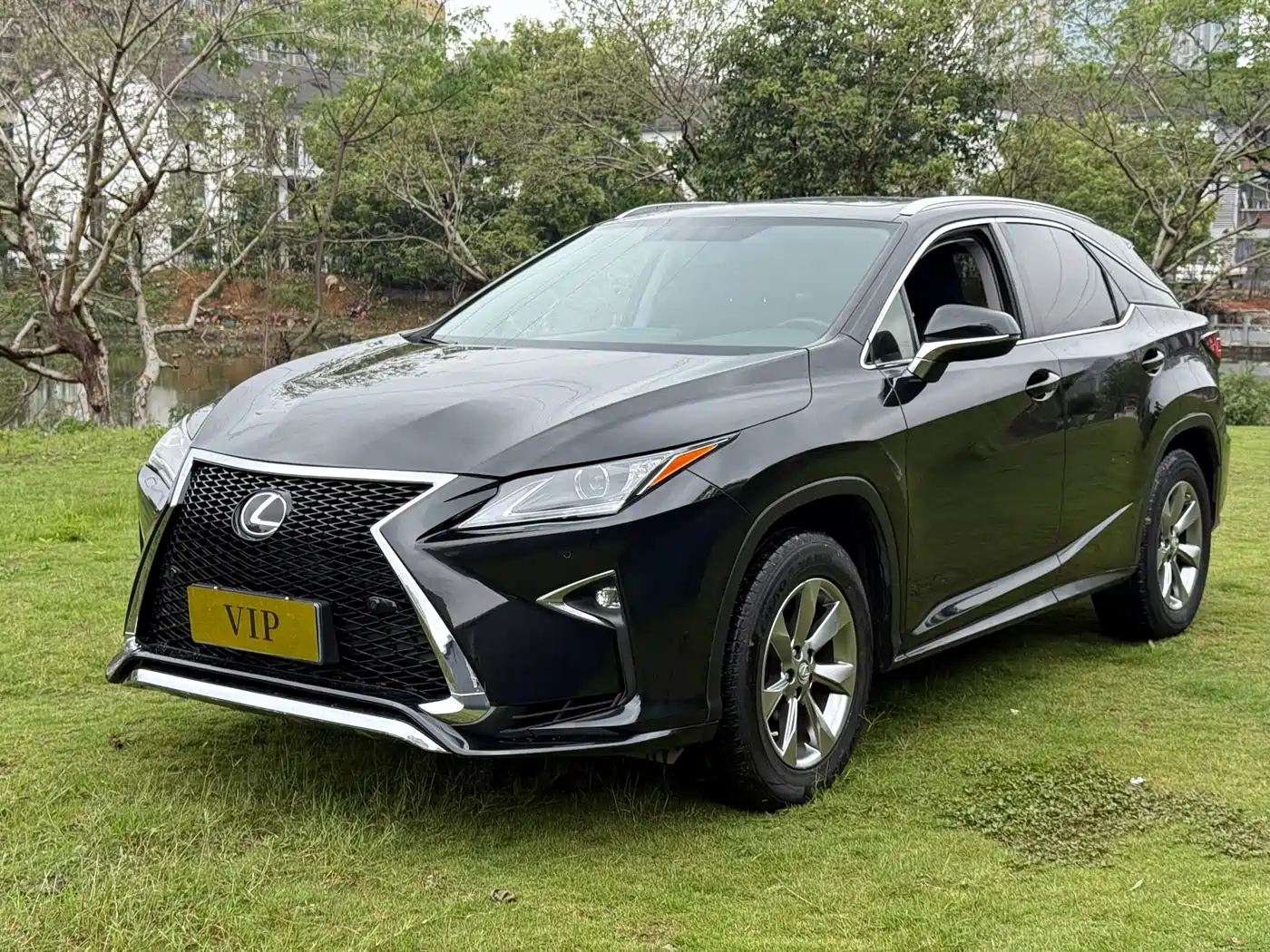 Lexus RX 2016 300 2WD Elite Edition (China V)