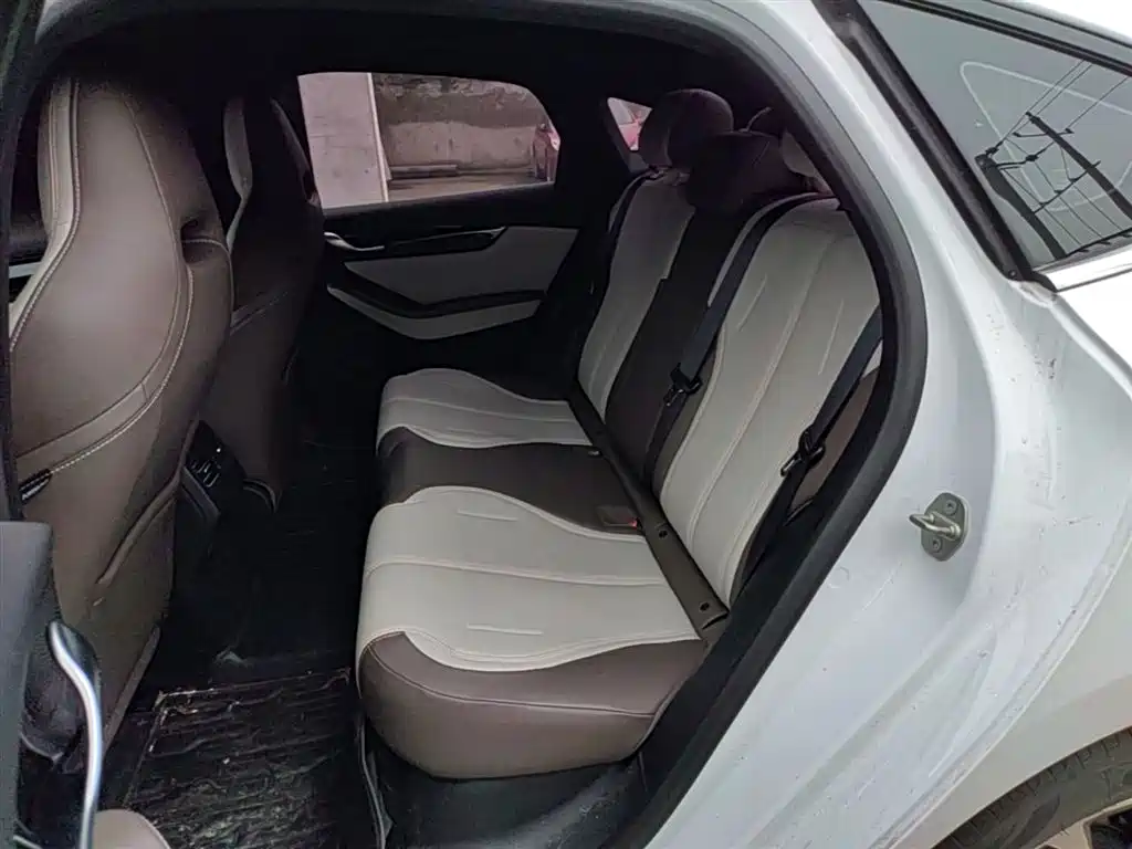 BYD Qin PLUS 2023 Champion Edition DM-i 55KM Leading фото 17