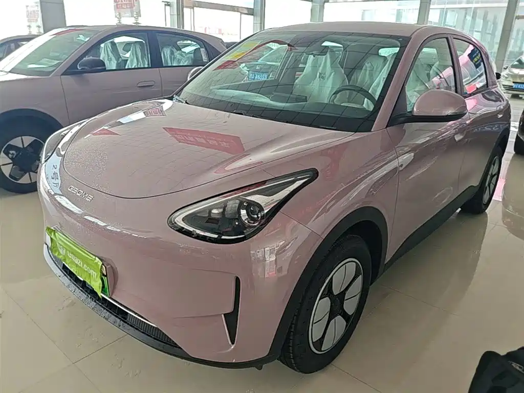 Geely Galaxy Starry Wish 2026 Edition 310km Youth Version фото 2