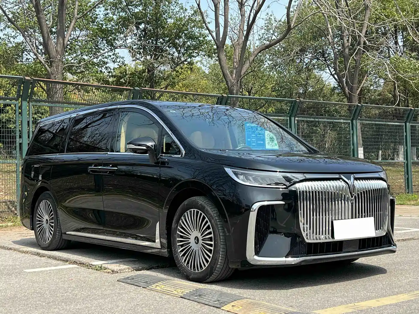 Voyah Auto Voyah Dreamer 2025 PHEV AWD Flagship Kunpeng Edition фото 3