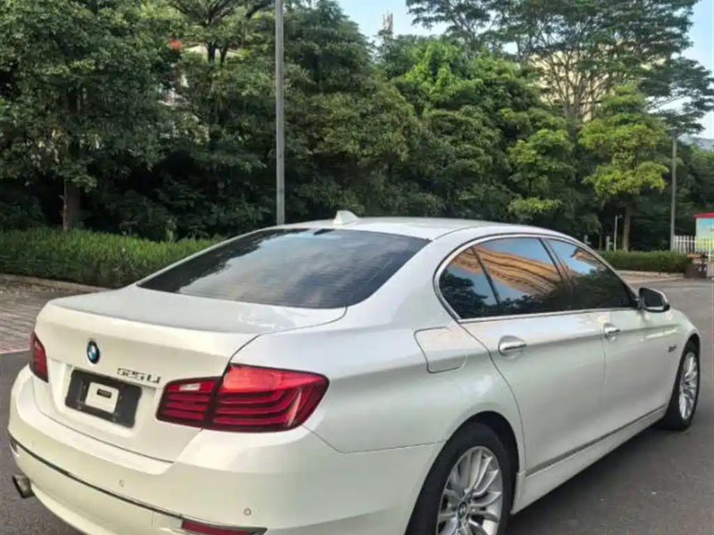 BMW 5 Series 2017 525Li Luxury Design Package фото 6