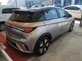 Фото 7 - BYD Dolphin