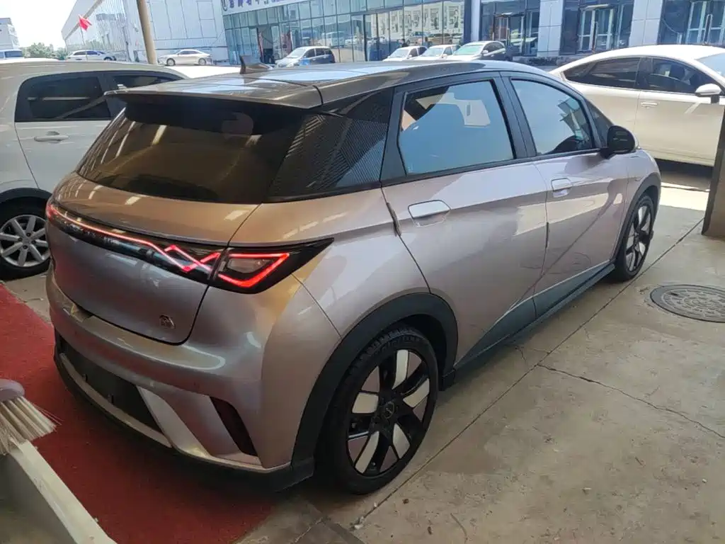 Фото 7 - BYD Dolphin