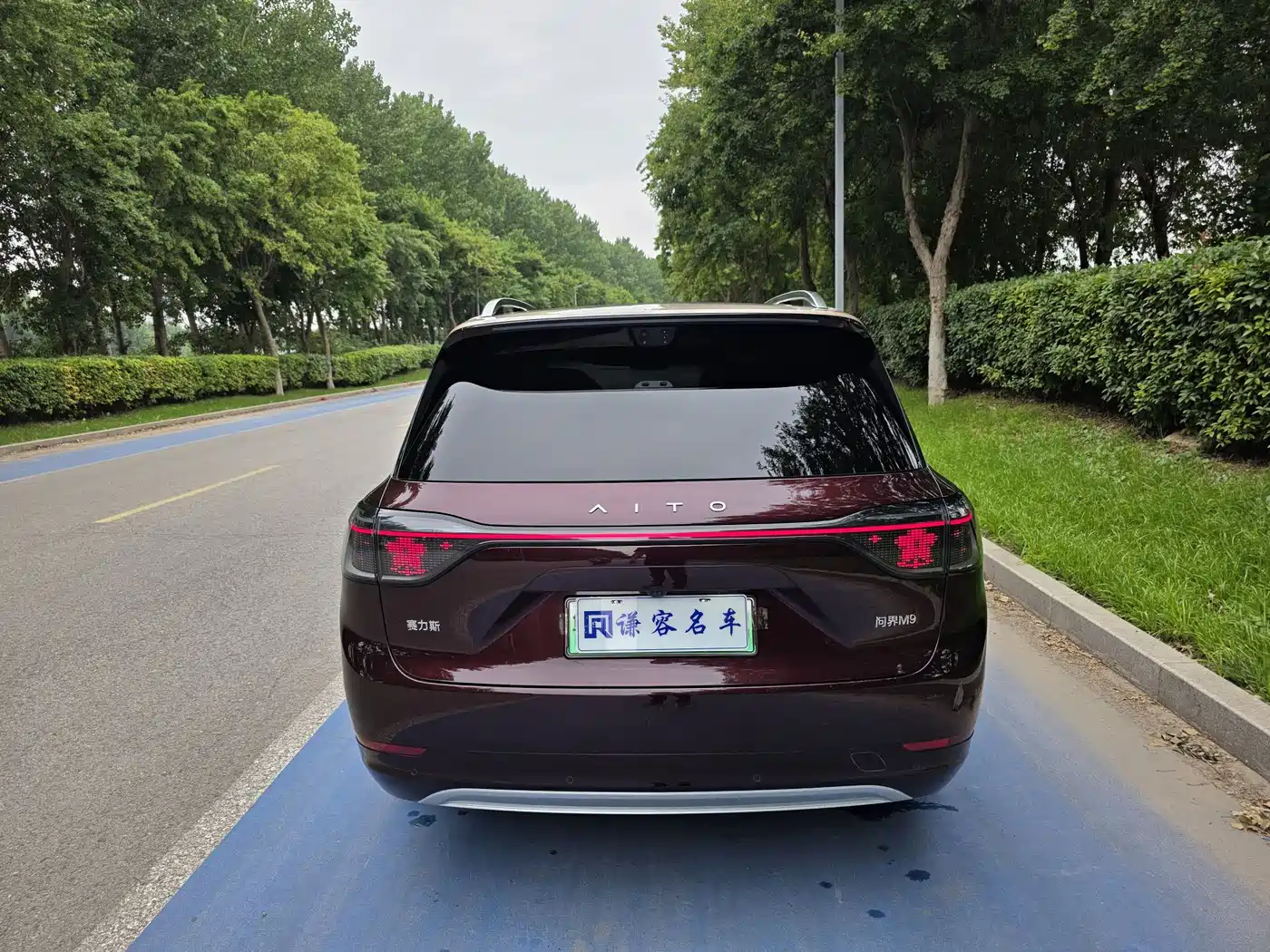 AITO Wenjie AITO M9 2025 Extended Range Ultra 52kWh 6-Seater фото 9