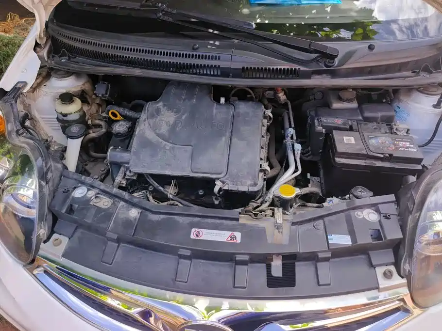 Photo 10 - BYD F0