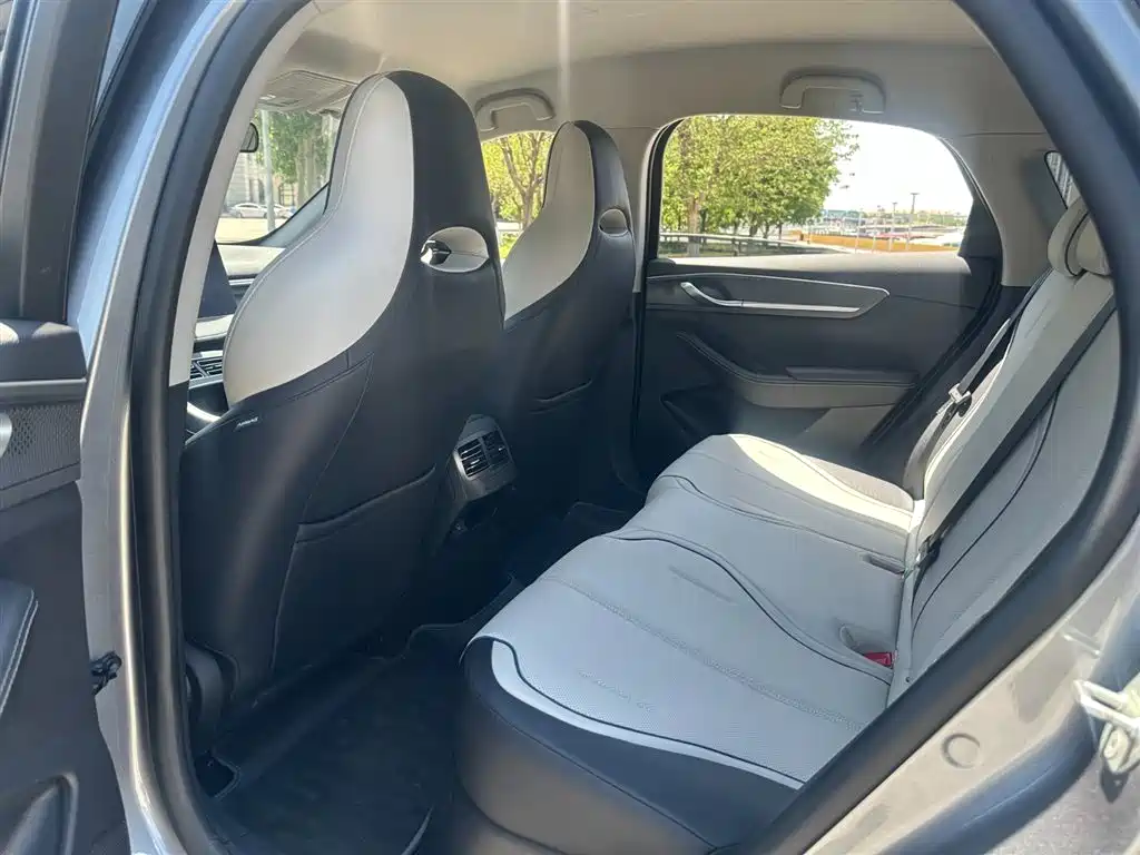 BYD Destroyer 05 2024 Glory Edition DM-i 55KM Luxury фото 8