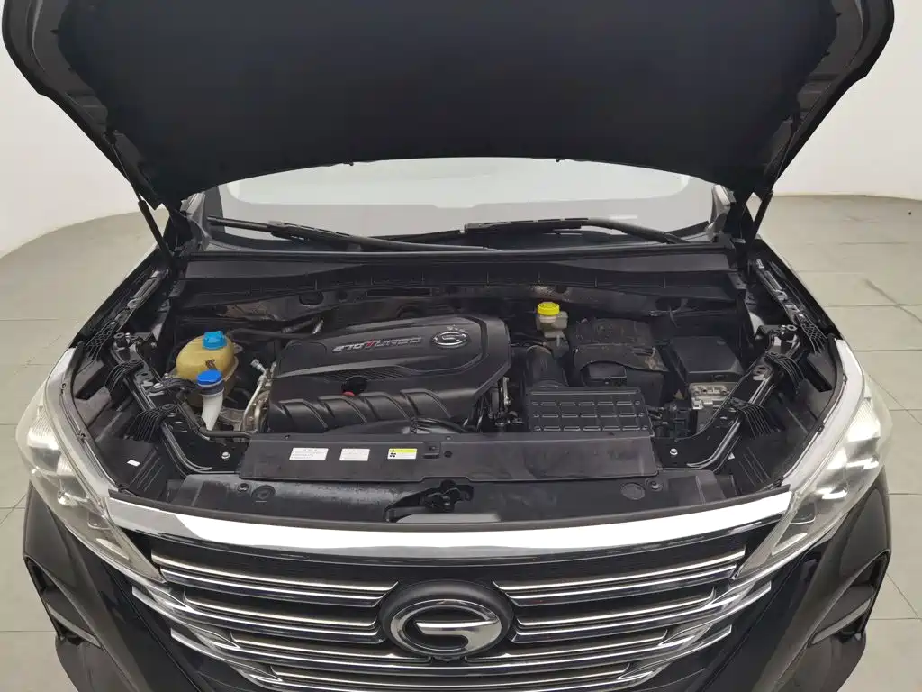 GAC Trumpchi Trumpchi GS5 2020 2019 270T Automatic Luxury