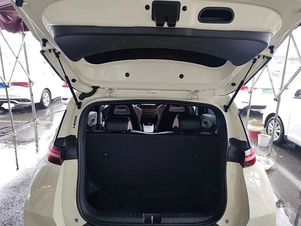 BYD Seagull 2024 Glory Edition 305km Vitality Edition фото 19