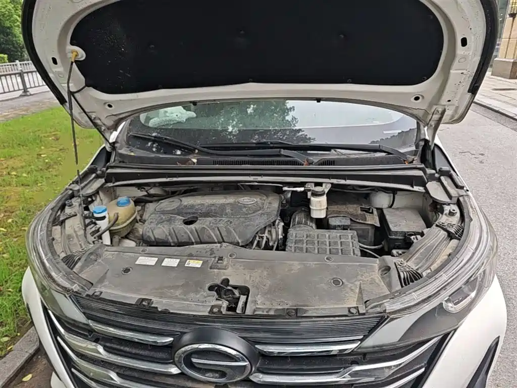 GAC Trumpchi Trumpchi M6 2019 270T DCT Premium Edition (7-seater) (China VI) фото 20