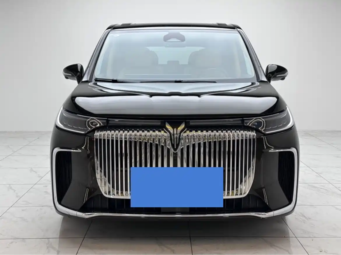 Voyah Auto Voyah Dreamer 2025 PHEV AWD Flagship Kunpeng Edition фото 2