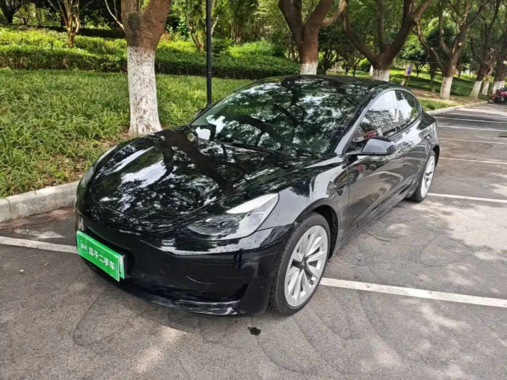 Tesla Model 3 2022