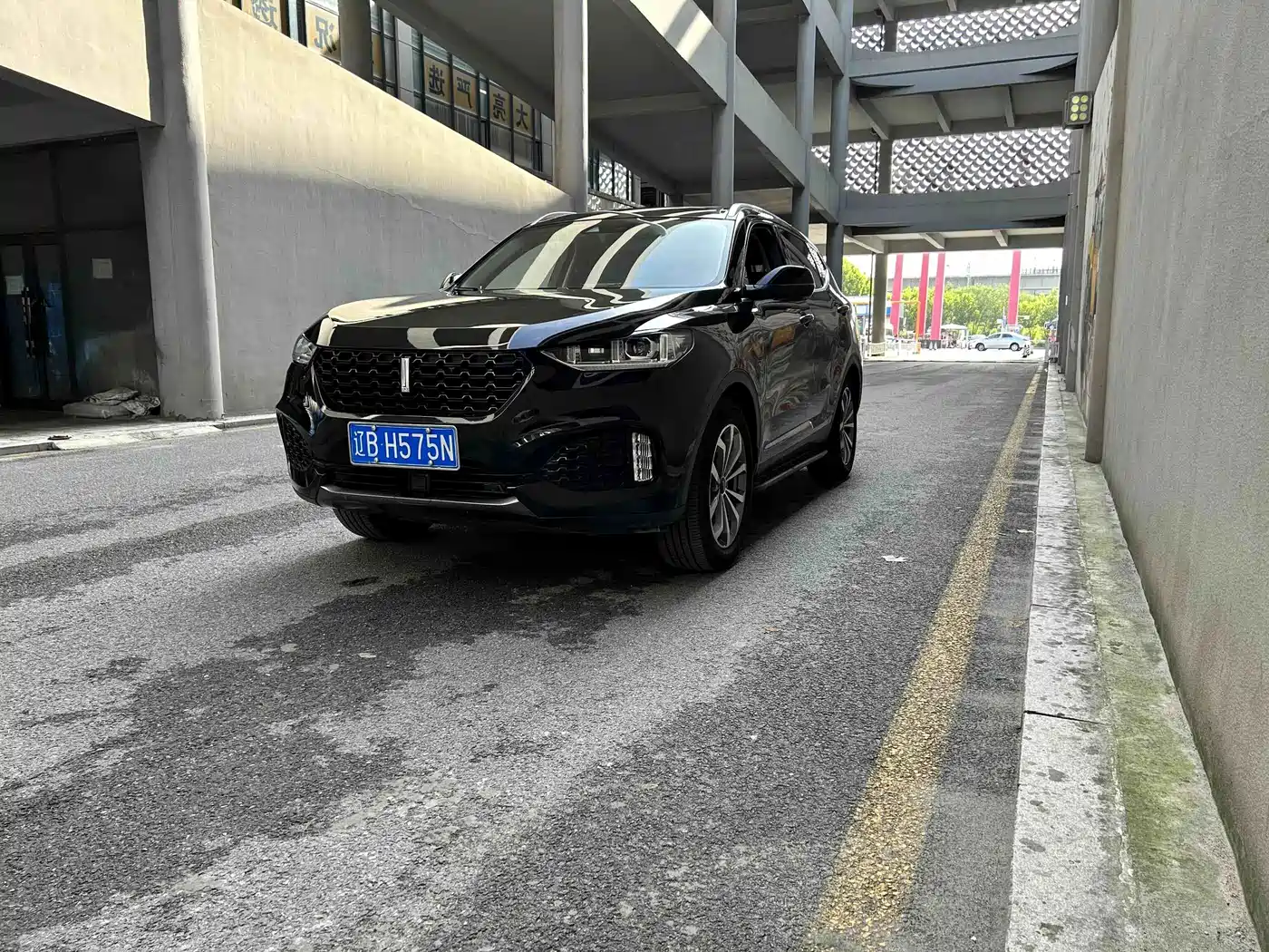 WEY VV6 2019 2018 2.0T 4WD Flagship China V