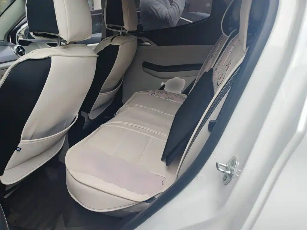 BYD Yuan Pro 2022 2021 401KM Luxury Model