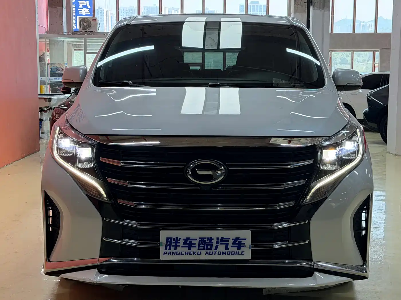 GAC Trumpchi Trumpchi M8 2023 Leading Series 390T Luxury Edition фото 2