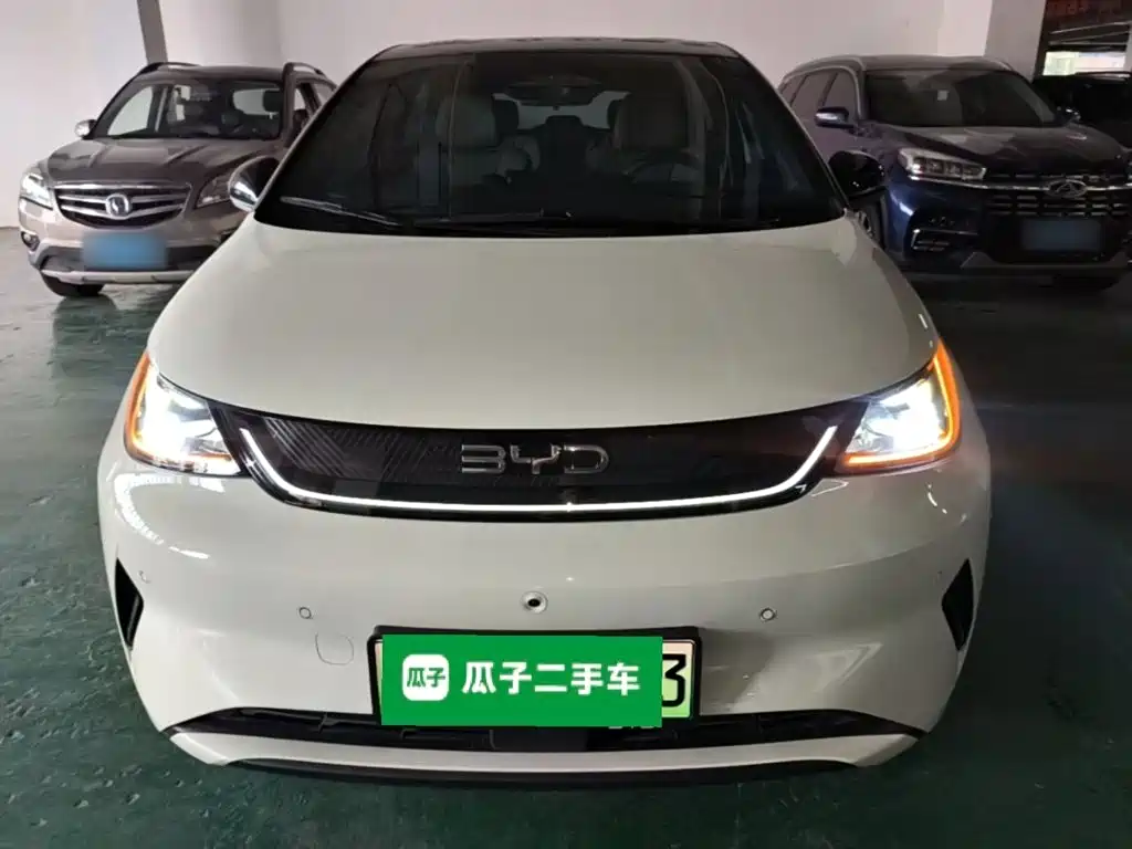 BYD Dolphin 2025 2025 Smart Drive Edition 420km Freedom Version