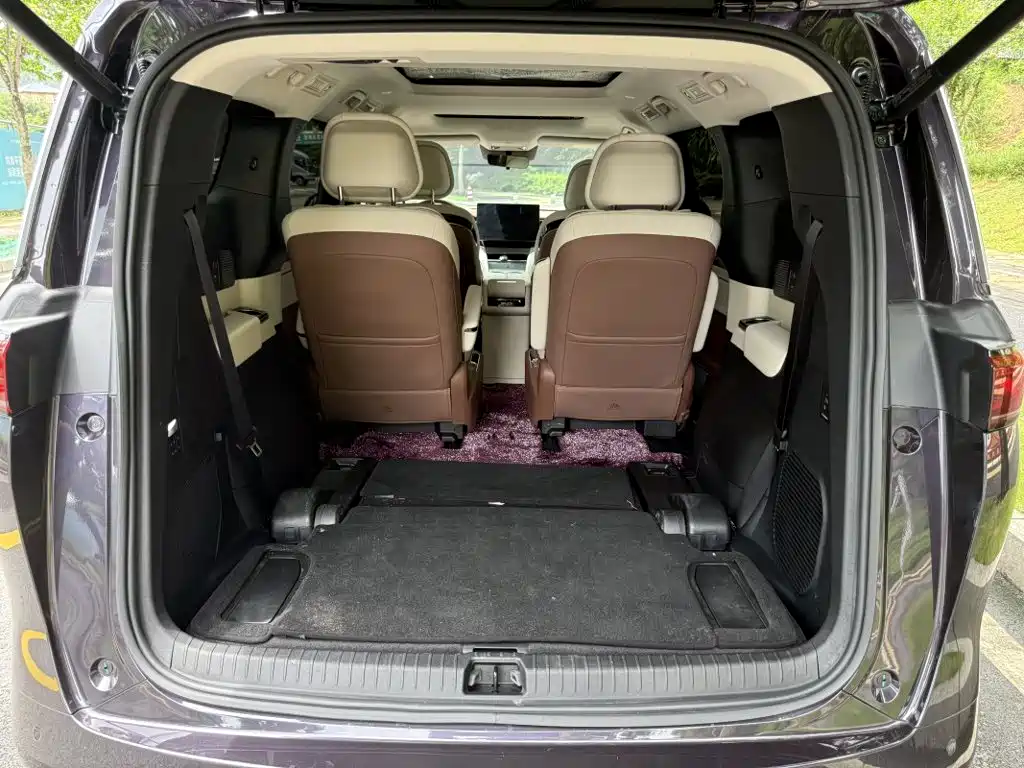 BYD Xia 2025 2025 DM-i 1.5T 100km Surpass Edition