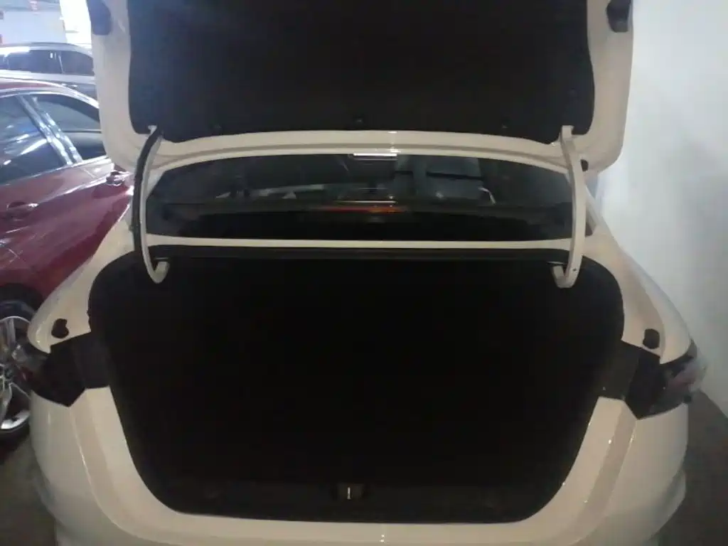 Фото 15 - Geely Binrui