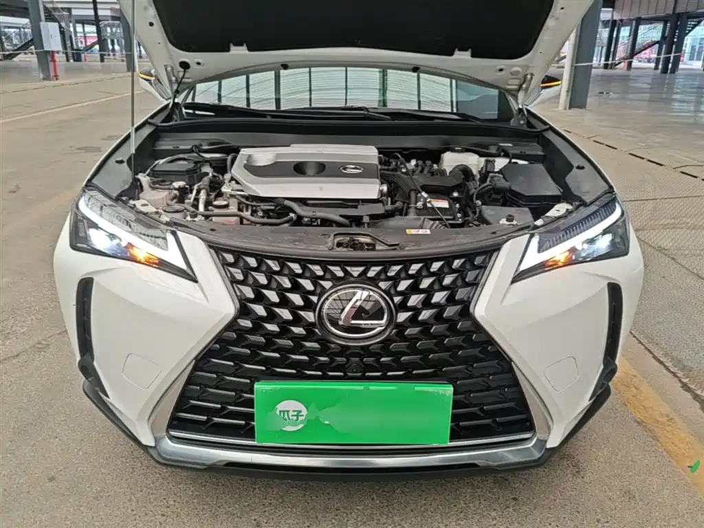 Lexus UX 2022 260h Explore Edition фото 20