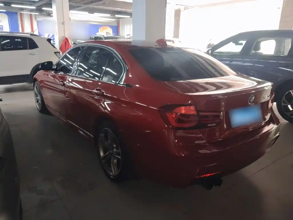 BMW 3 Series 2019 320Li M Sport Black Night Edition фото 23