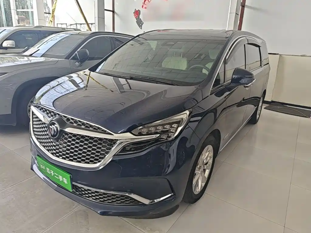 Фото 1 - Buick GL8