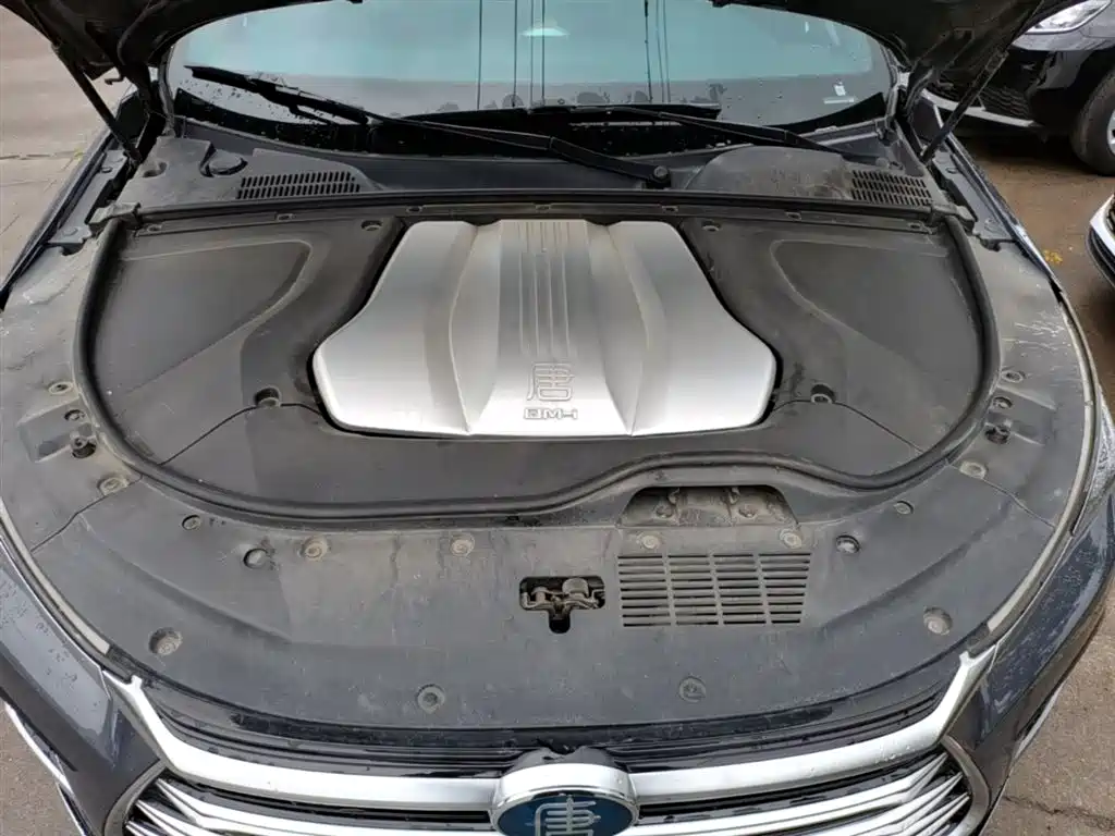 BYD Tang New Energy 2021 DM-i 112KM Honor фото 20