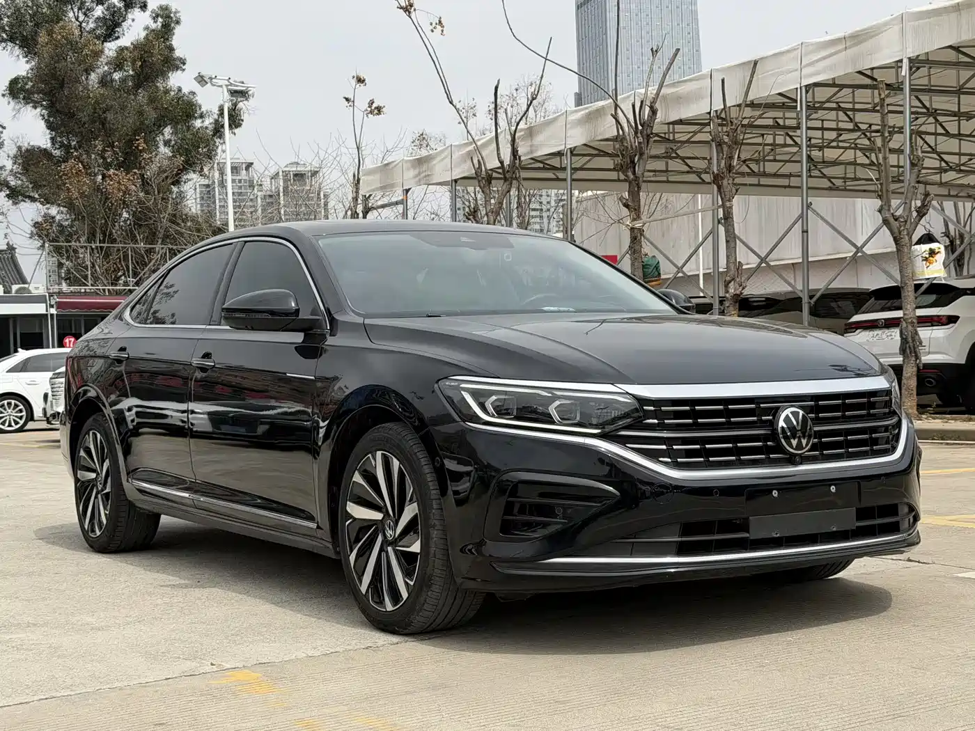Volkswagen Passat 2023 330TSI Luxury Edition фото 3