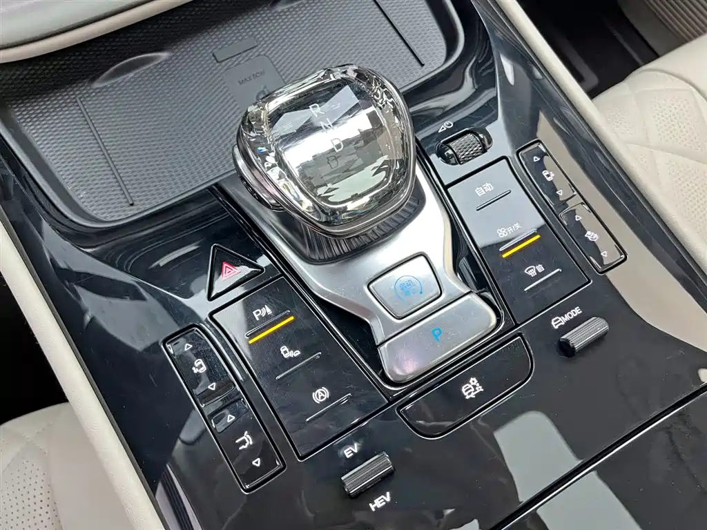 Denza D9 2024 DM-i 980 AWD Premium фото 21