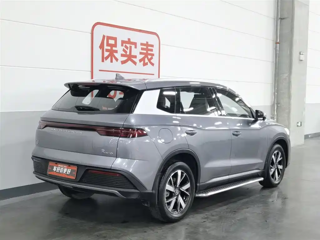 BYD Song Pro New Energy 2024 Glory Edition DM-i 71KM Pilot фото 2