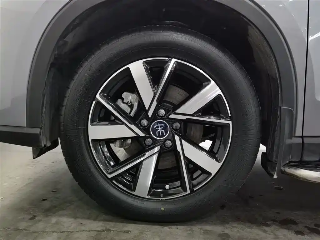 BYD Song Pro New Energy 2024 Glory Edition DM-i 71KM Pilot фото 17