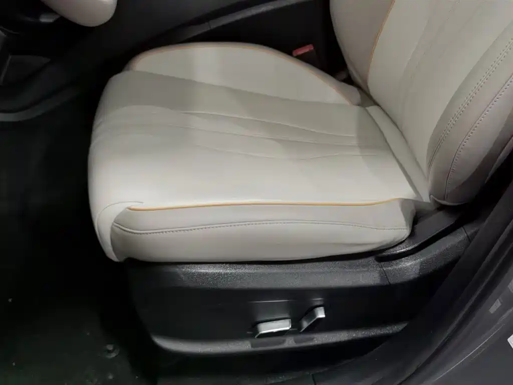 BYD Song Pro New Energy 2024 Glory Edition DM-i 71KM Pilot фото 20