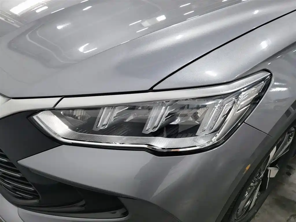 BYD Song Pro New Energy 2024 Glory Edition DM-i 71KM Pilot фото 7