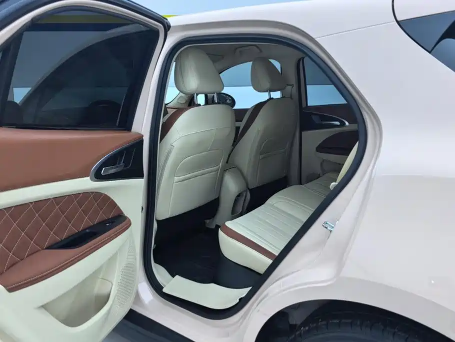 Ora Good Cat 2024 2023 401km Standard Range Luxury LFP