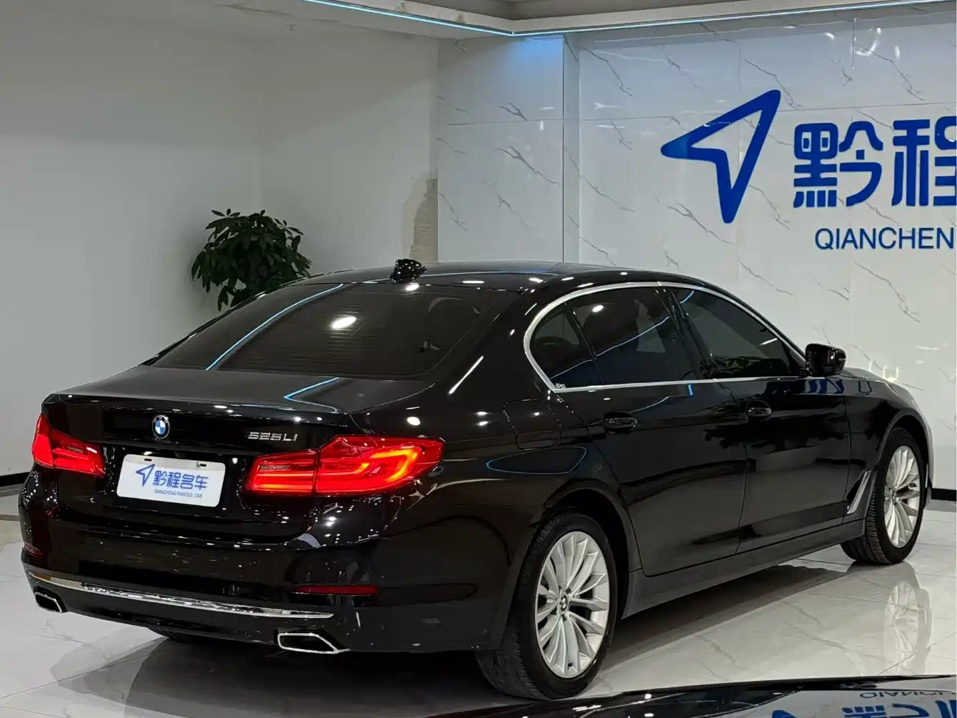 BMW 5 Series 2020 525Li Luxury Package фото 9
