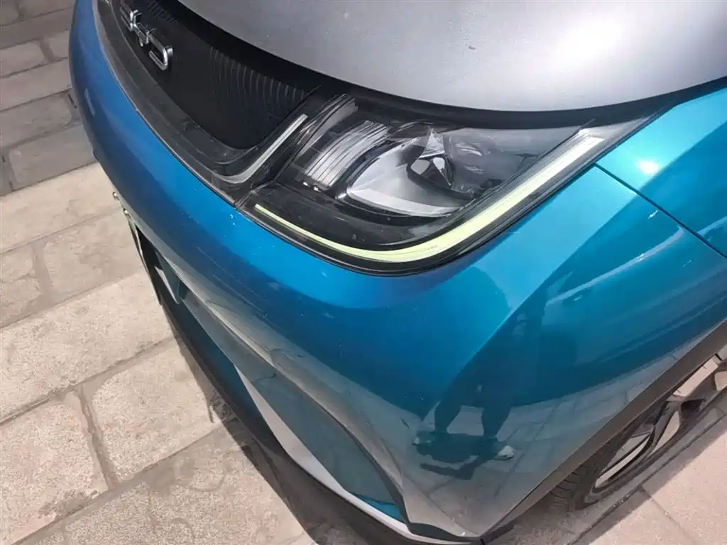 BYD Dolphin 2021 401km Knight Edition фото 24