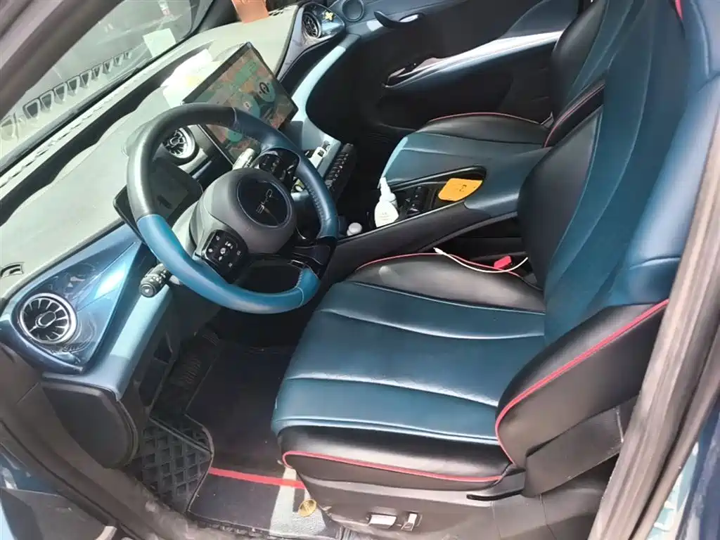 BYD Dolphin 2021 401km Knight Edition фото 15